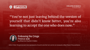 V31 OPINION ARTICLES